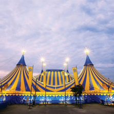 Gran Carpa Azul y Amarilla