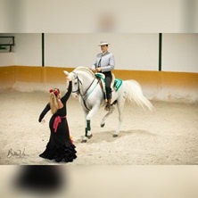 Andalusian Night