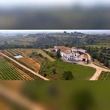 Bodega Miquel Jan&eacute;