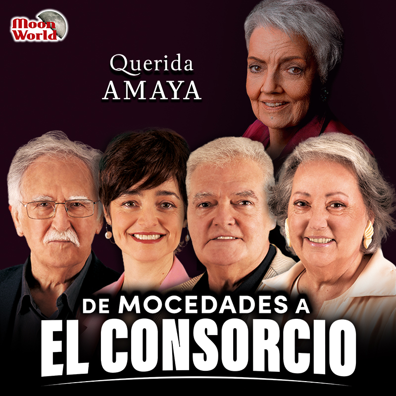 El Consorcio