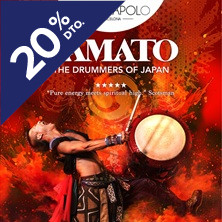 Yamato - Hinotori, Las alas del F&eacute;nix