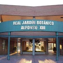 Real Jard&iacute;n Bot&aacute;nico Alfonso XIII